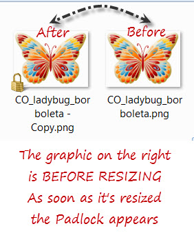 Padlock showing on Images after Graphic Resized.-padlock.jpg