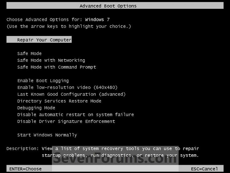 Windows 7 Problem-advbootoptns.jpg