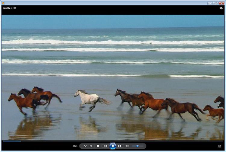 Media Player adding black bars + other probs-wildlife.jpg