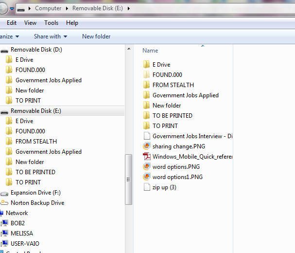 New Folder and Found Folder on Removable Disk-duplicate-drives-usb-thumb.png
