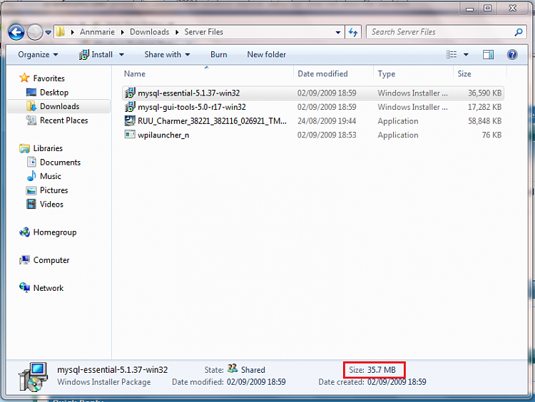 Windows Explorer Status Bar: does not show file size-capture.png