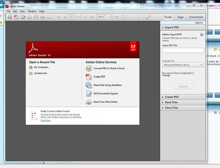 what is it and how to open it.-capture-adobe-reader.jpg