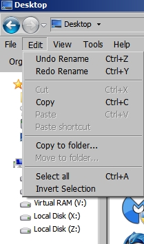 Suspicious 'Undo Rename' and delayed 'Undo Delete'-menu.jpg
