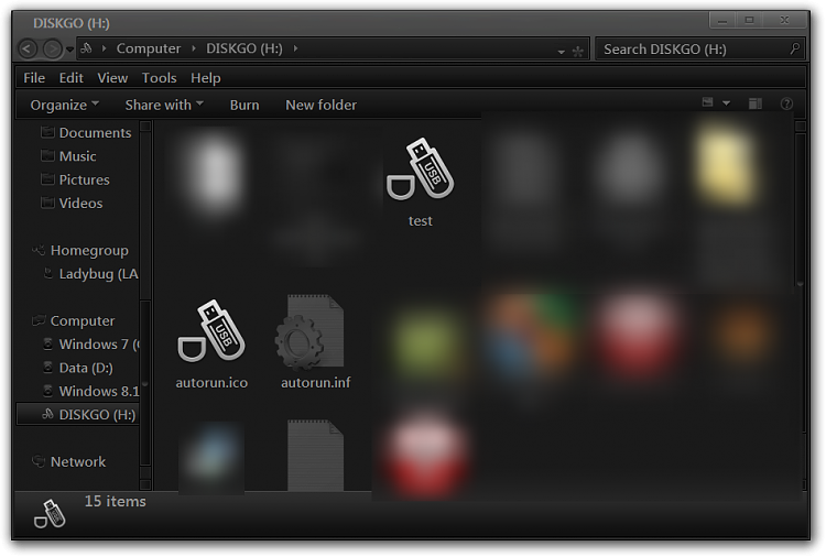 Custom icon for subfolder in a portable USB storage device-diskgo-h-.png