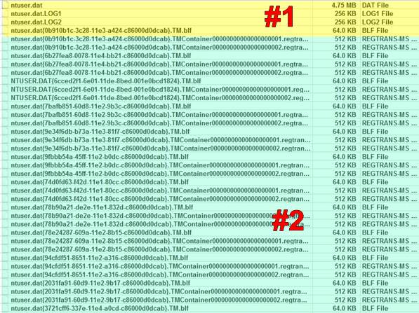 Deleting ntuser.dat from W7 32 bit?-ntuser-2.dat.jpg