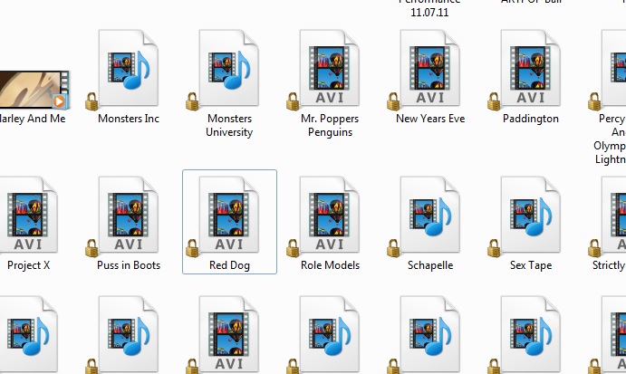 All my files have lock icons-locks.jpg