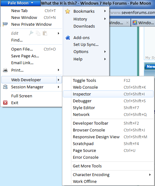 What the H is this?-pale-moon-web-developer-tools-default-location-.png