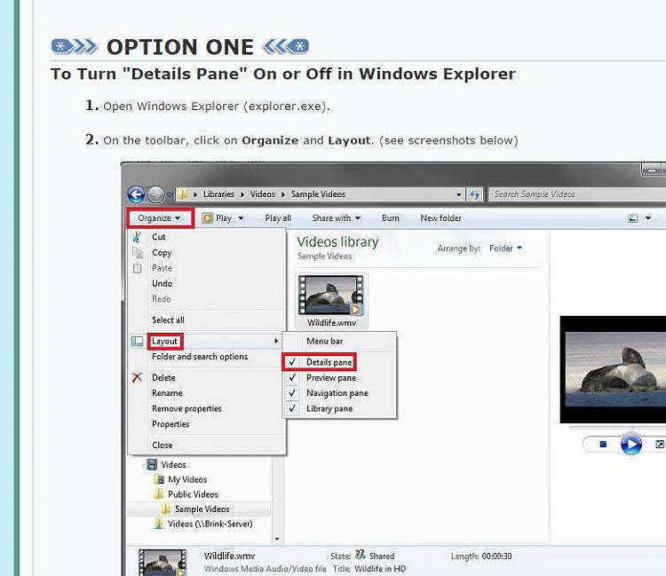 Windows Explorer Status Bar: does not show file size-detail-pane.jpg