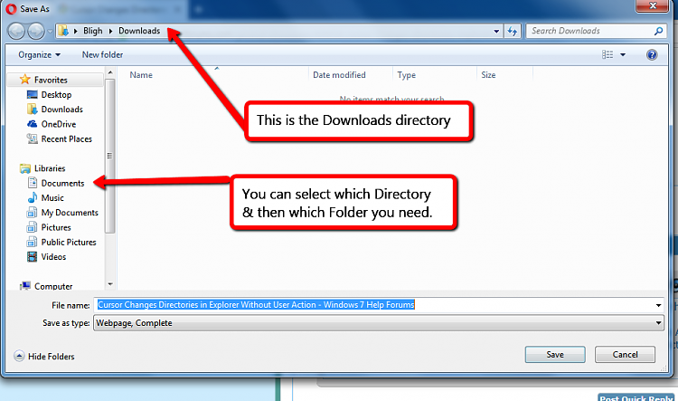 Cursor Changes Directories in Explorer Without User Action-downloads_directory.png