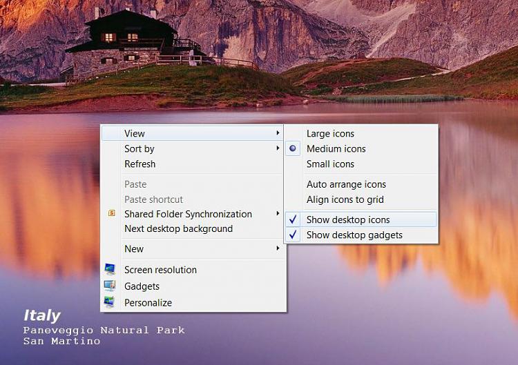 Recycle Bin disappeared off desktop-veiw-icons.jpg