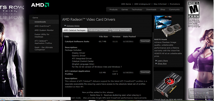 ATI Radeon HD 6770 awful fonts in Windows browser and reboot problems-ati.png
