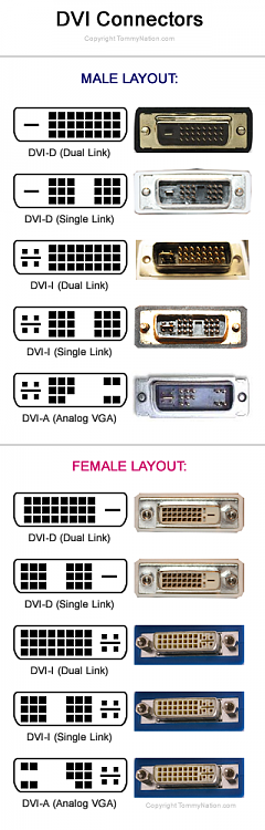 Native resolution doesn't appear-dvi-connector-chart-dvi-d-dvi-i-dvi-.png