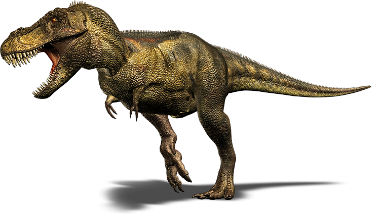 video card-tyrannosaur-dino-large.png