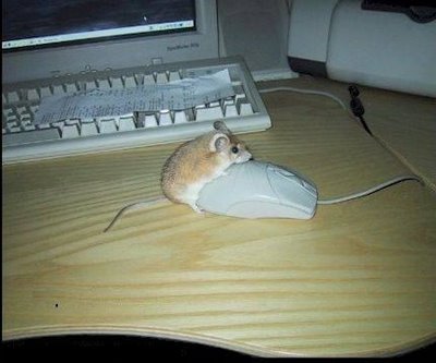 erotic mouse-mousehumping.jpg