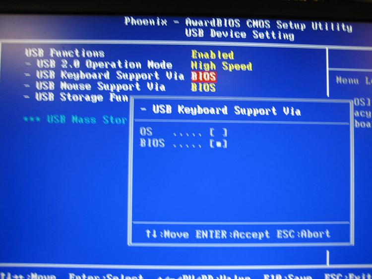 cant enter bios with wireless usb keyboard-bios.jpg