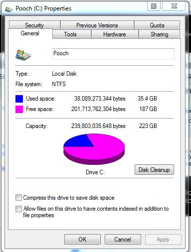 Why is my Intel 80gb SSD so full?-capture.jpg