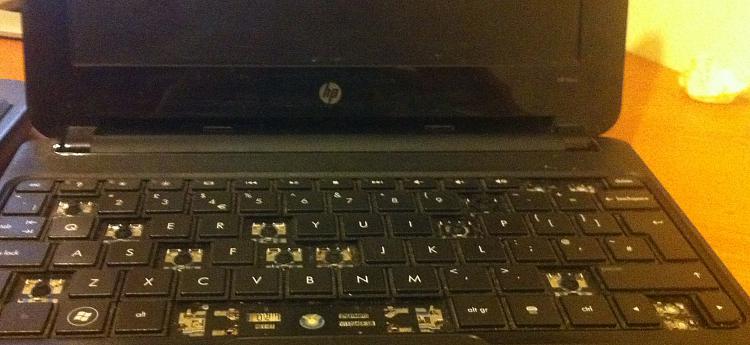 Fix Broken Netbook/Laptop.-img_0029.jpg