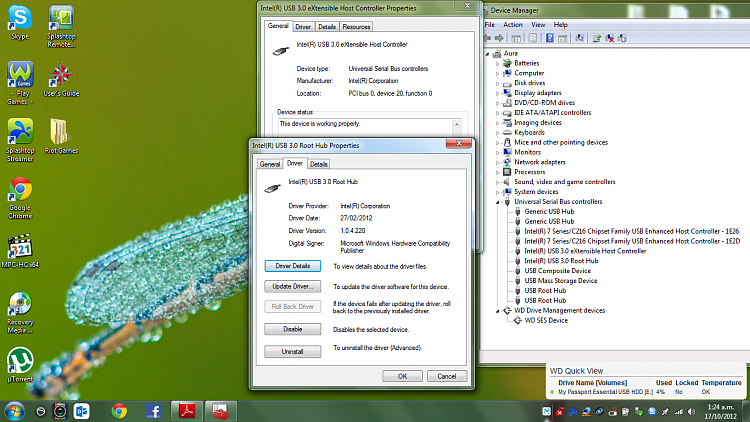 WD My Passport Essential 500GB External Keeps Disconnecting from USB3-jdjdsjds.png