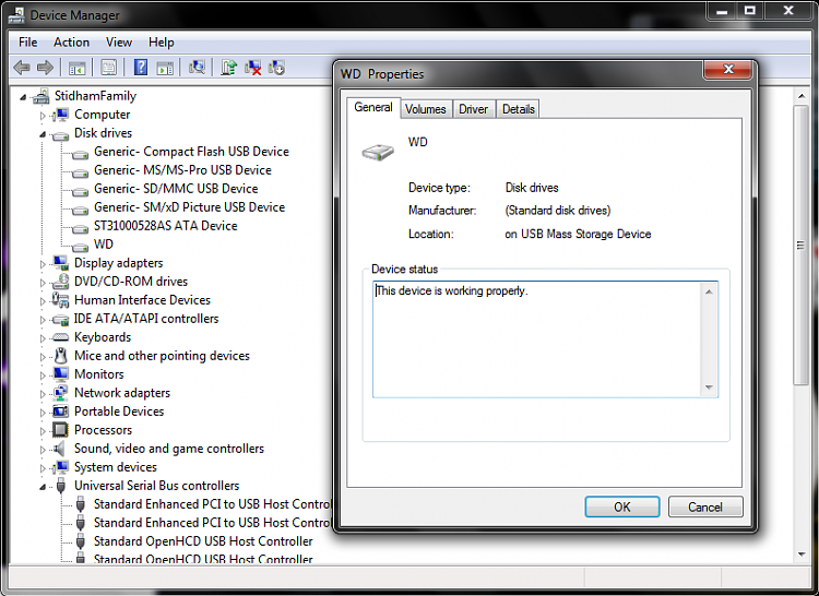 WD 1TB Ext HDD will not initialize - Incorrect Function-device-manager-snip.png