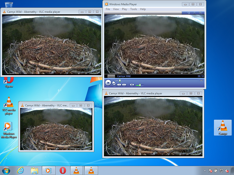 Change file association for viewing on-screen webcam-birds3.png