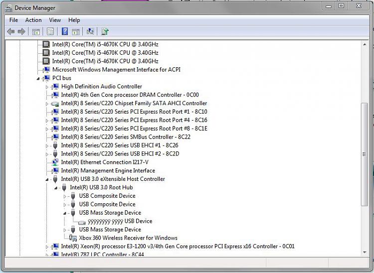 Strange USB Drive Showing in Device Manager-capture-device-manager-1.jpg