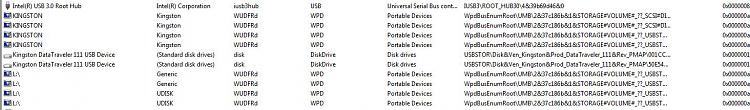 Strange USB Drive Showing in Device Manager-devmanview-screen-2.jpg