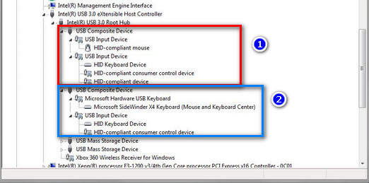 Strange USB Drive Showing in Device Manager-devices.jpg