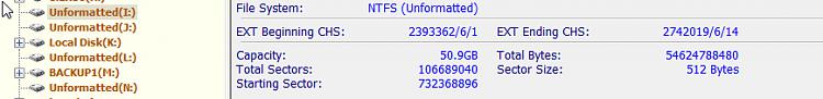 How do I convert Raw partition?-pguru.jpg