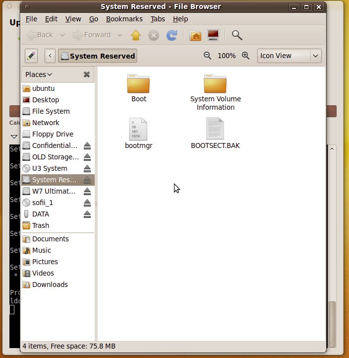 What's on that 100MB partition? Can I delete it?-system-reserved-2-100mb-viewed-other-os.jpg