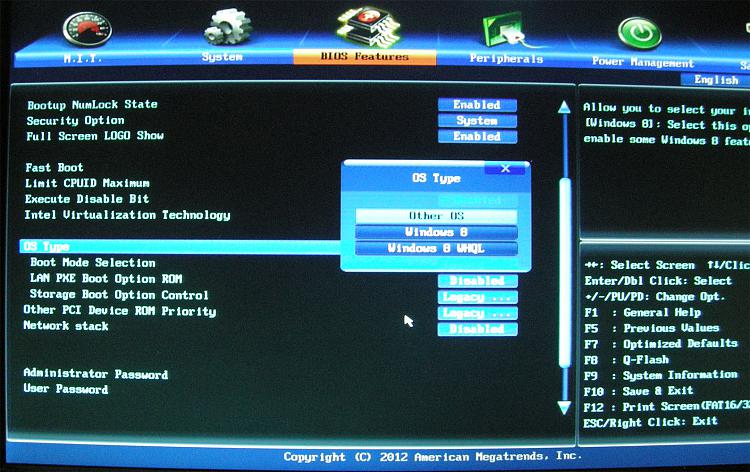 UEFI and MBR storage disc: Windows is no longer bootable?-os-type.jpg