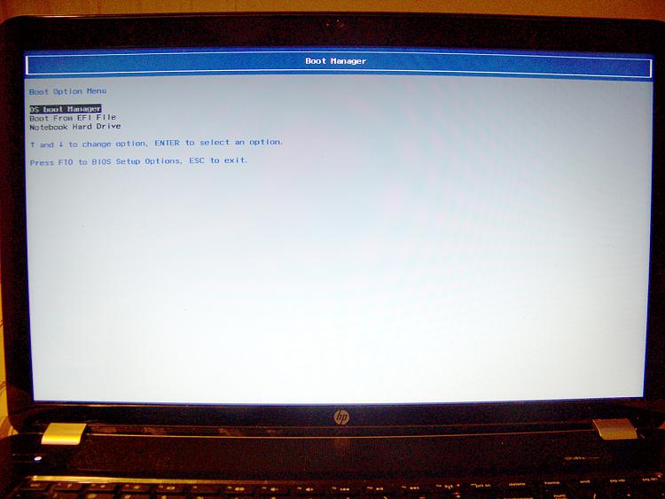 No CD/DVD/USB Option(s) In The Boot Menu-5.-boot-manager.jpg