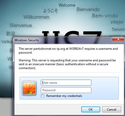 Installing IIS-logincapture.jpg