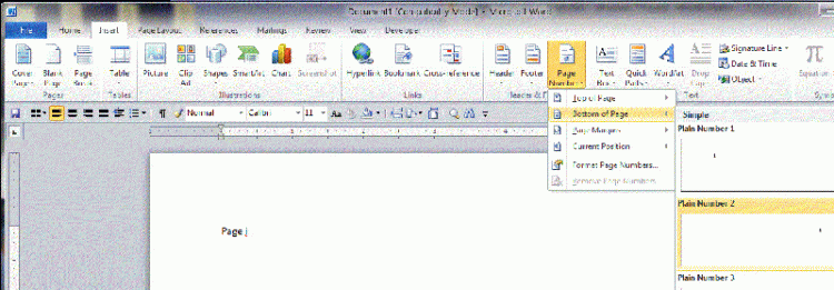 FOOTER PROBLEM in Word 2007-pagenumbering-.gif