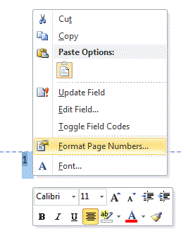 FOOTER PROBLEM in Word 2007-pagenumbering-b.gif