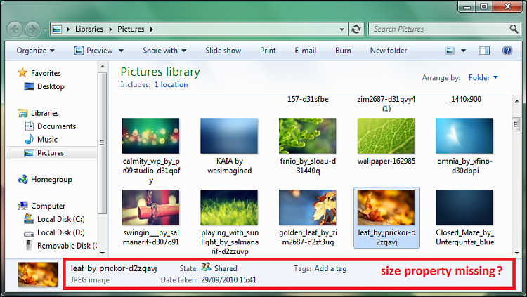 Windows Explorer Details Pane - include size property-untitled.png