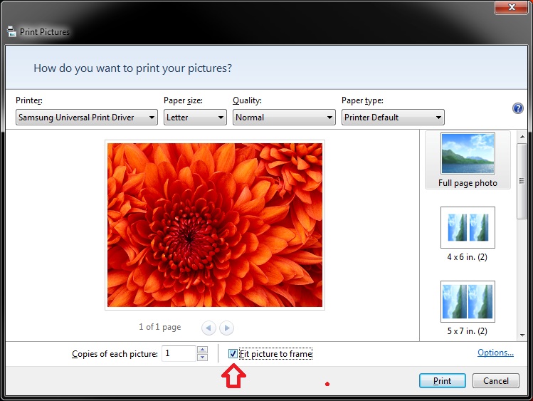 windows photo viewer printing-picture.jpg