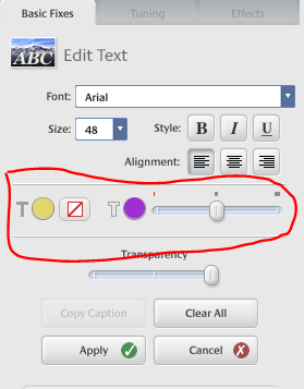 How To Add Large Text To Picture-picasa-1.png