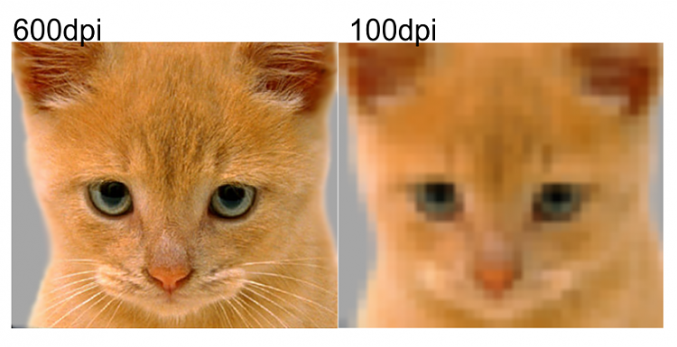 Actual print size when printing picures-cat.png