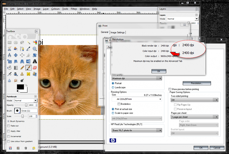 Actual print size when printing picures-cat-print.png