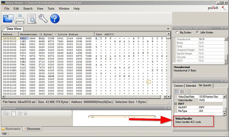 Can't open .avi file-binary-viewer.jpg
