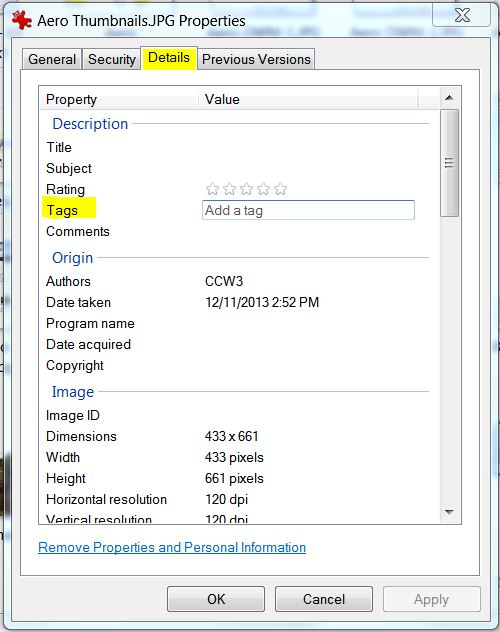 Cannot Tag Any Photo's on my Computer-adding-tags-photo.jpg