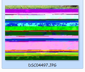 Corrupted Pictures in the Local Disk-captur3e.png