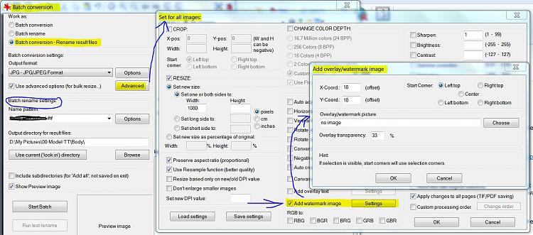 How to lock the JPEG files to be uncopyable-irfanview-add-water-mark.jpg