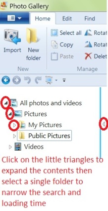 Excessive Duplicate Photos in my photo gallery-folders-tree-wpg.jpg