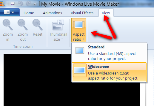 Windows Movie Maker Fill Screen-2010-08-14_1209.png