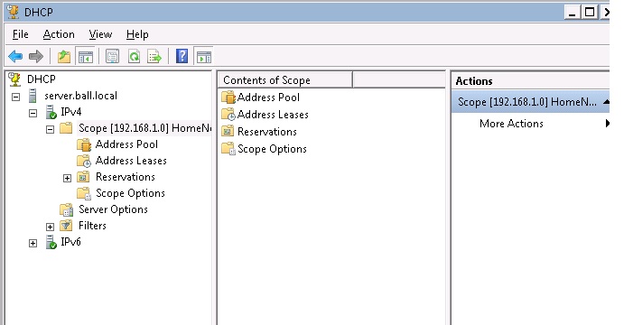 Windows Server 2008 AD &amp; WSUS Errors-dhcp.jpg