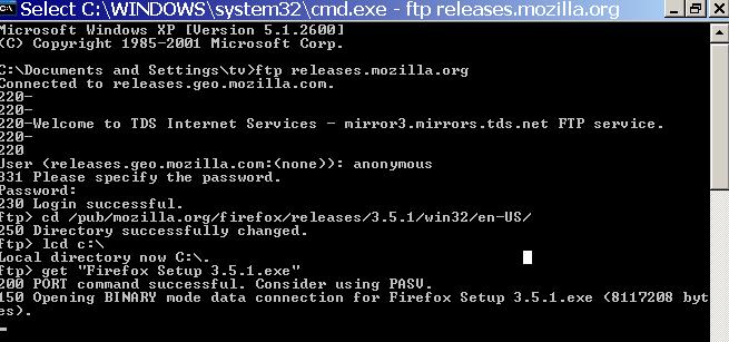 Internet explorer crashes when downloading-ftpfirefox.jpg