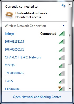 &quot;Wireless network connection&quot; doesnt have a valid IP configuration...-internet.jpg