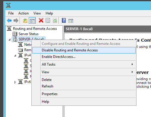 Configuring Static Routes-disable-nat.png