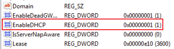 No internet with custom IP-dhcp.png